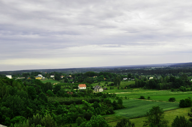 Wpis pyzucha