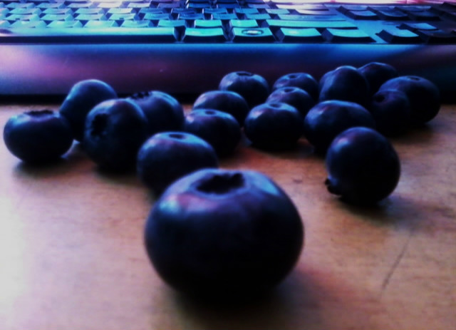Borweczki :3