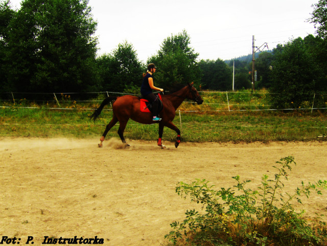 Galop 