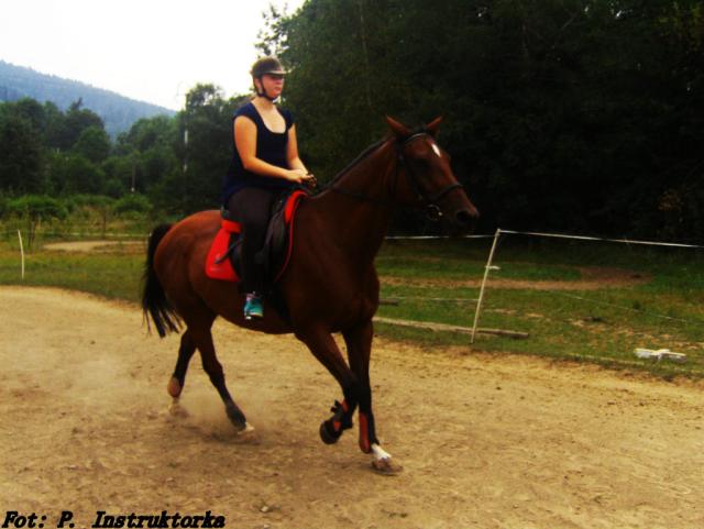 Donia *.*