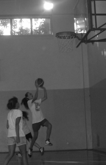 BASKET 