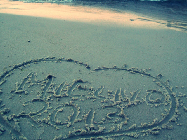 Wpis xzkxsokaxasiaxzkx