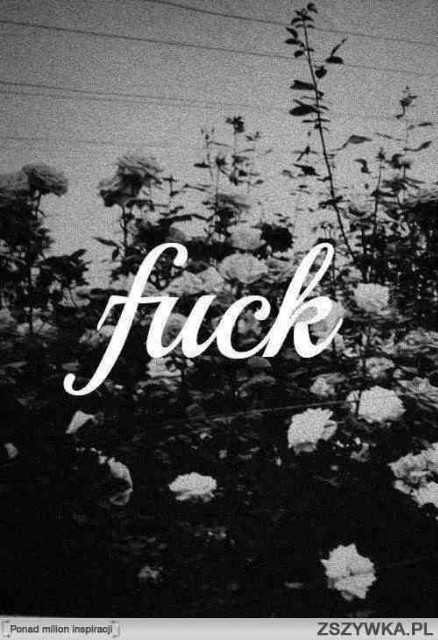 Wpis bebadfuckit
