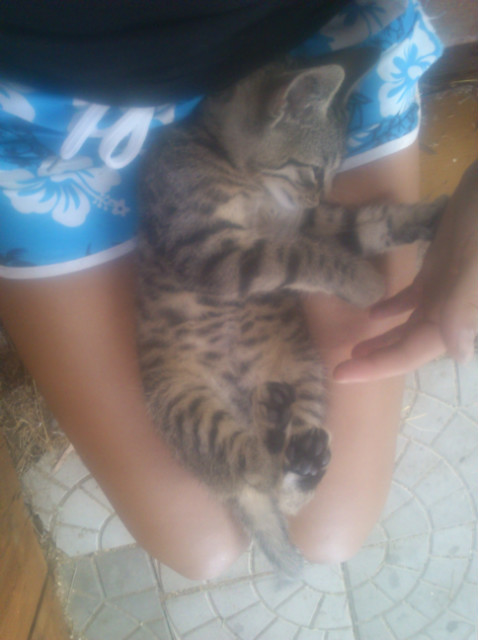 jako telefonu :x