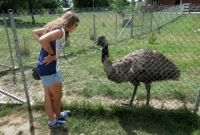 zoo.