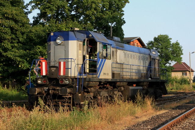 SM48-310