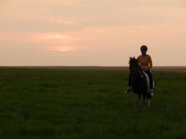 Wpis zapozyczony 
