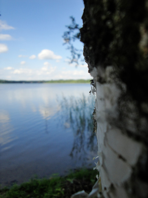 Jeziorko 
