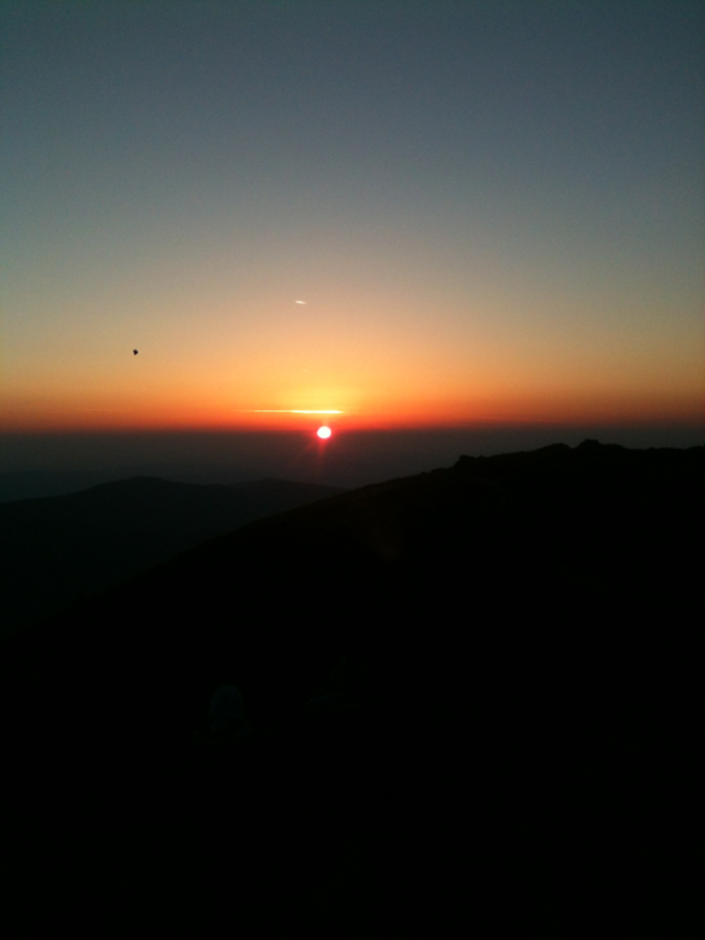 Babia z rana