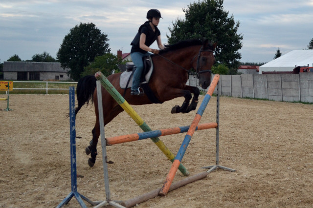 Wpis hoofbeats