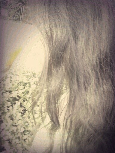Wpis domiiv