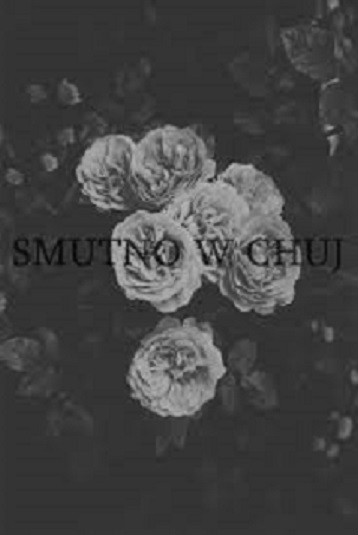 2wpis