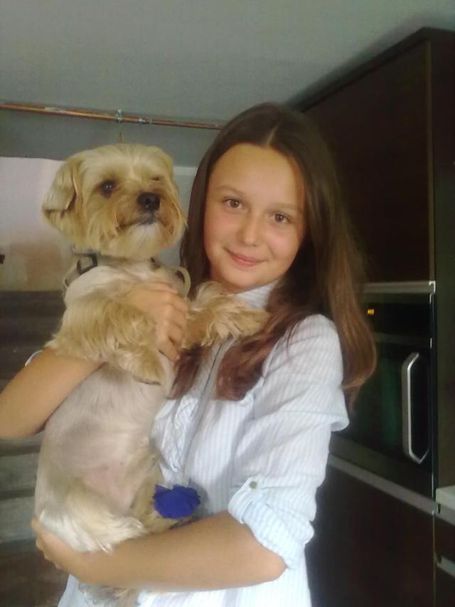 Wpis wikaa2309