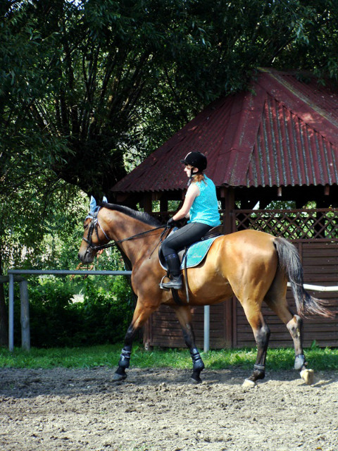 Wpis bela1997