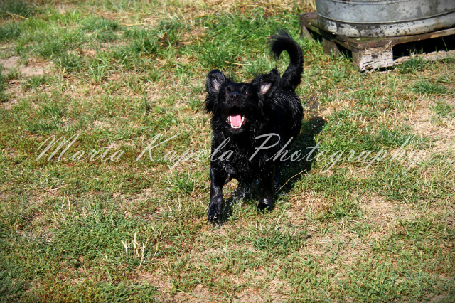 Wpis martaphotography97
