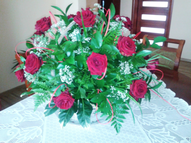 Wpis cuore500