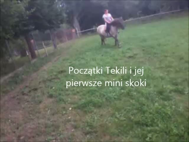 Wpis zakochanawkoniach2