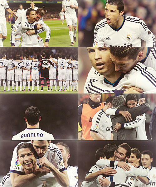 Wpis halamadriid