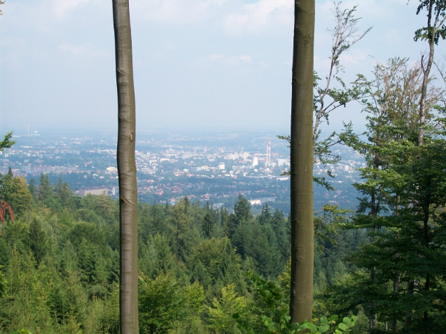 Bielsko-Biaa w drewnianej ramie