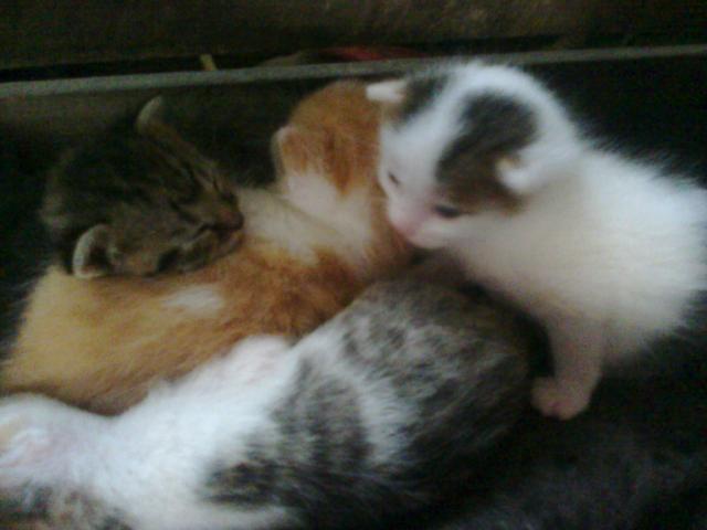Bosz kocham jeee :******** 