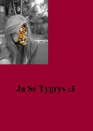 JA SE TYGRYS