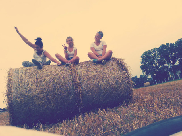 good day . 