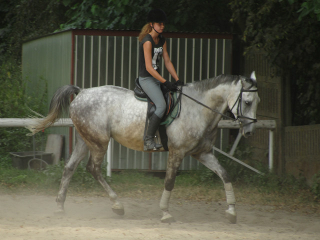 Wpis karina1klaudia