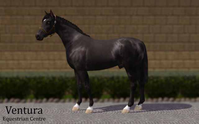 AS Obsidian
