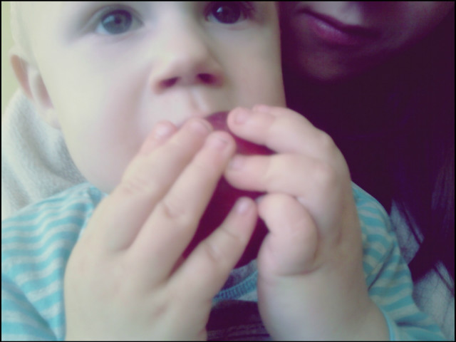 Wpis domisiekxx