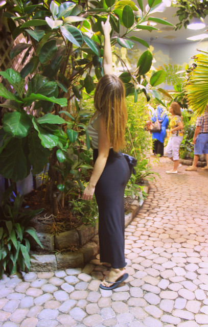 welcome to the jungle ..