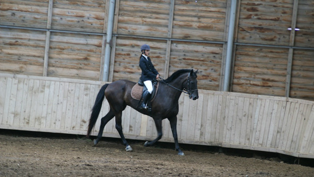 Wpis katee150