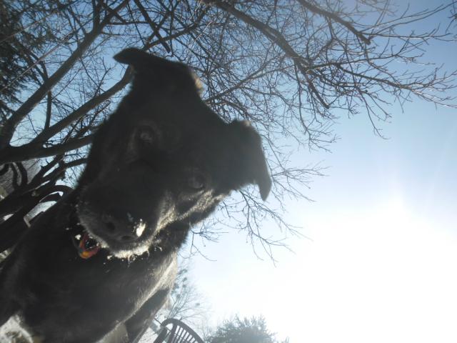 Dzie wolny ; )