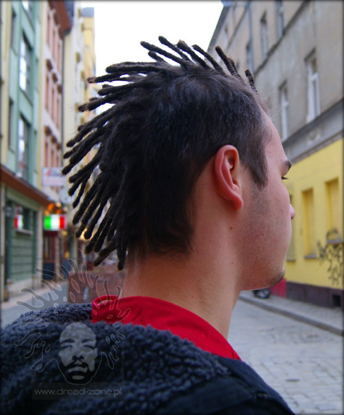 Krasta dredy Irokez