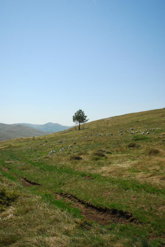 Wpis podpalona18
