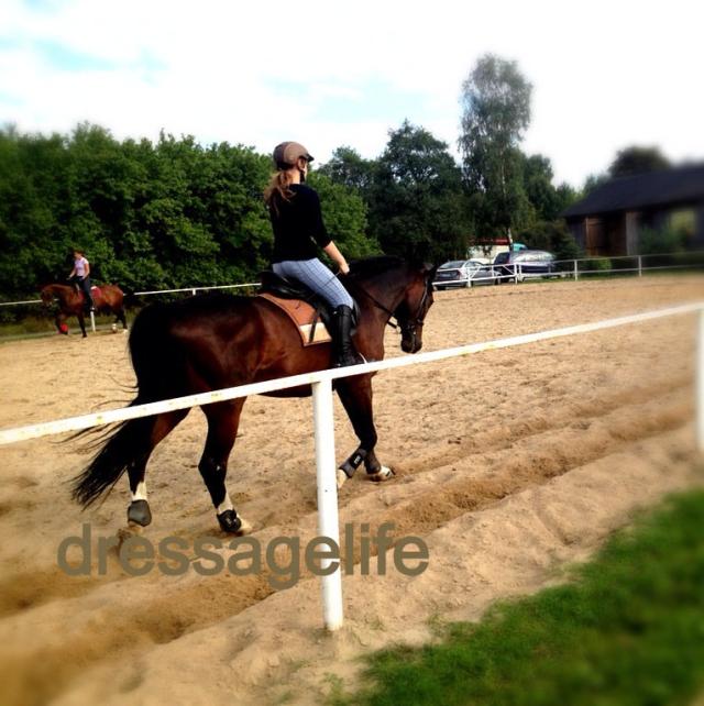 Wpis dressagelife