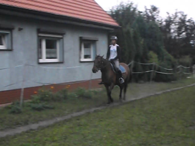 "Galop" na Malwie xd