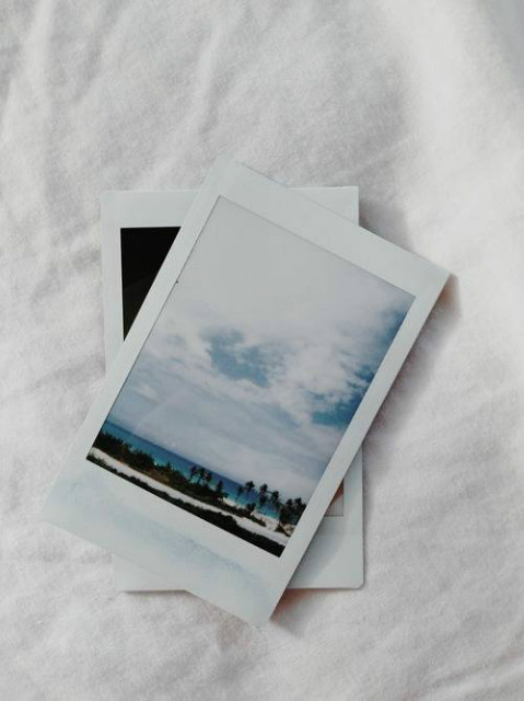 #236