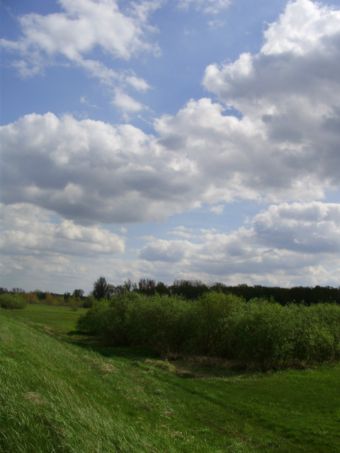 Wpis niebieskobiala95
