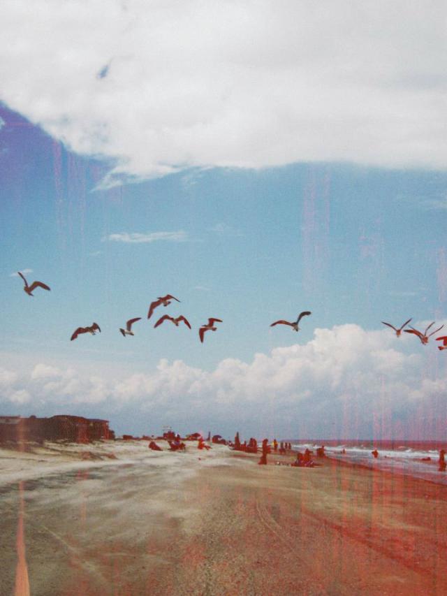 4. Fly.