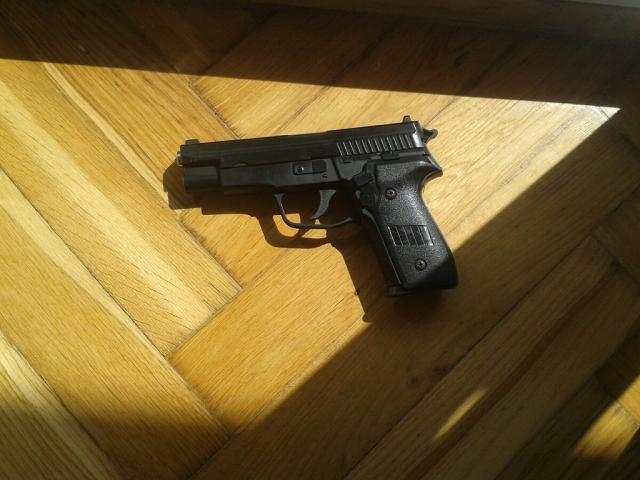Gun