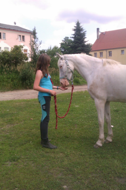jeste moja wiesz