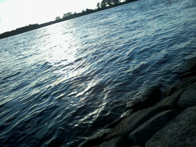 38 dni ;*