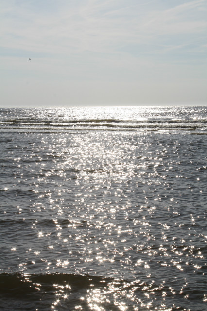 8. Sea.