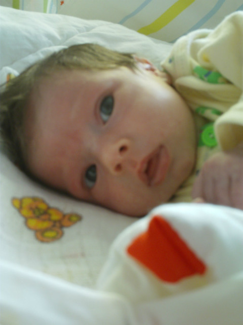 Mysia moja !! :)
