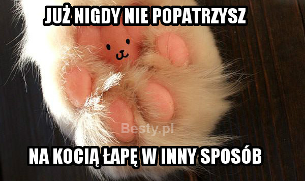 :3
