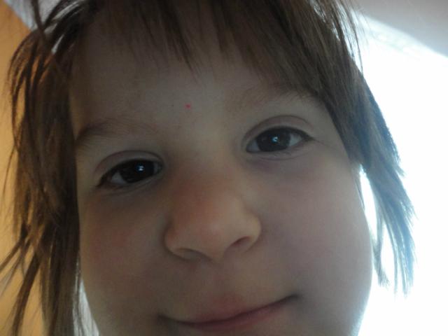 Wpis niedla