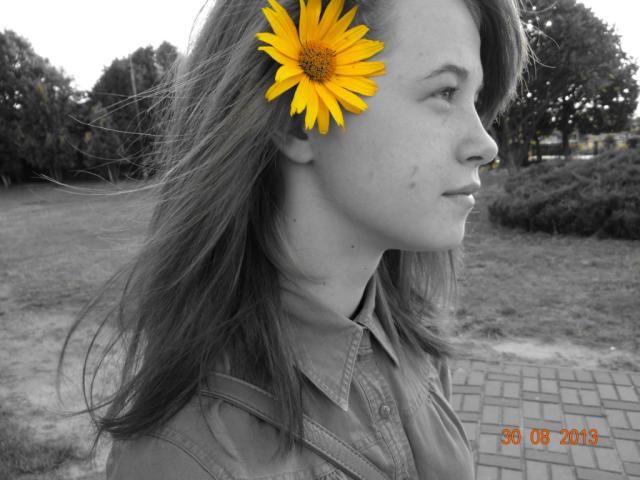 Wpis chlippxd
