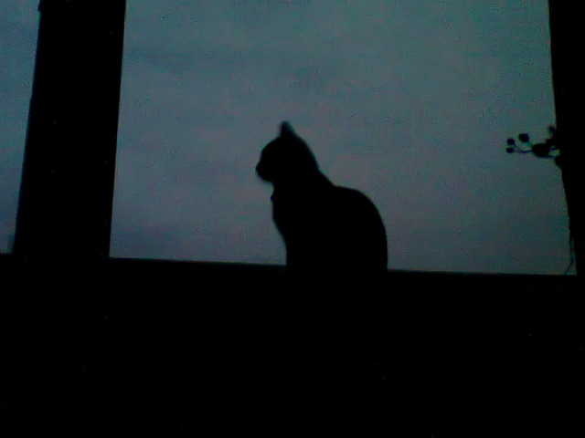 pplrstrange