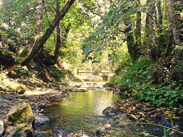 sherwood