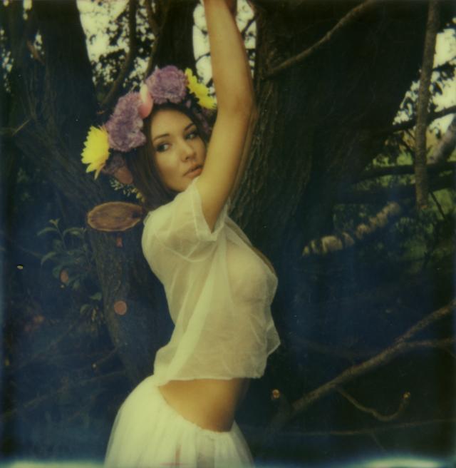 Wpis heylolita